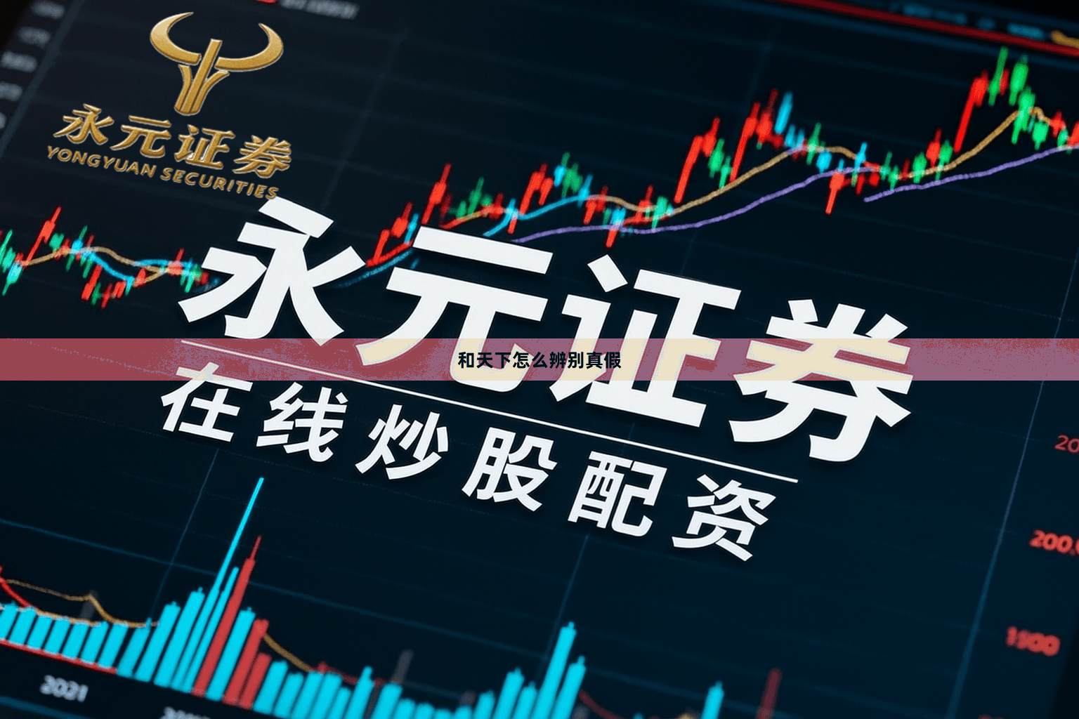 和天下怎么辨别真假