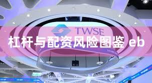 杠杆与配资风险图鉴 eb