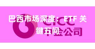 巴西市场深度：ETF 关键五问